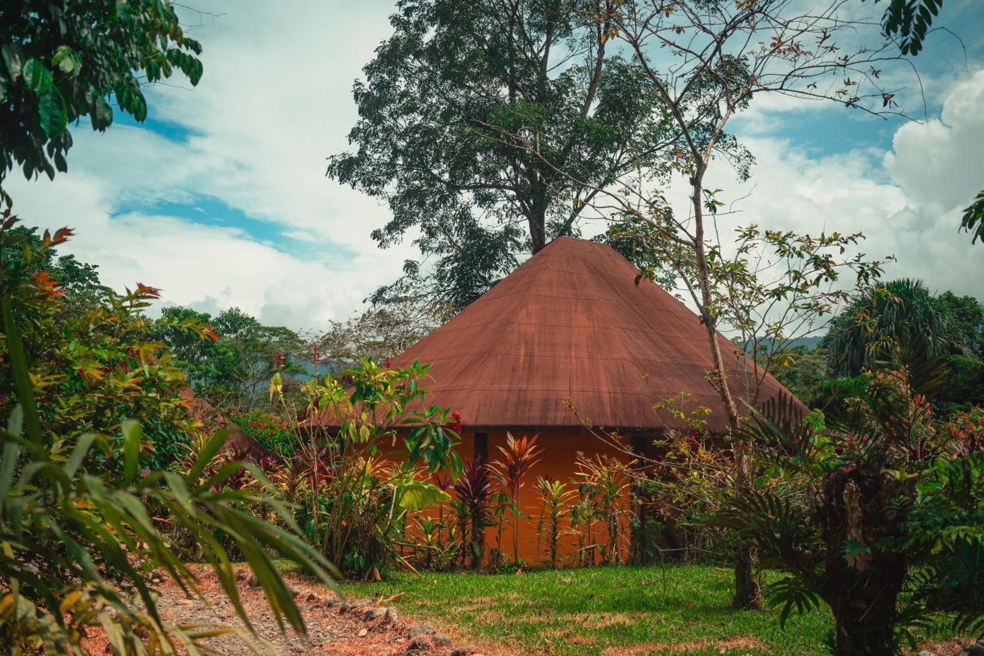 Huasquila Amazon Lodge Cotundo Dış mekan fotoğraf